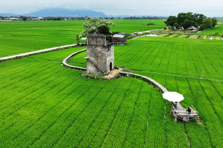 Lò gạch cũ giữa cánh đồng xanh, đẹp như phim trong khung hình 'check-in' của giới trẻ